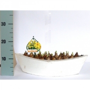 Мускари в белом каноэ 44х16